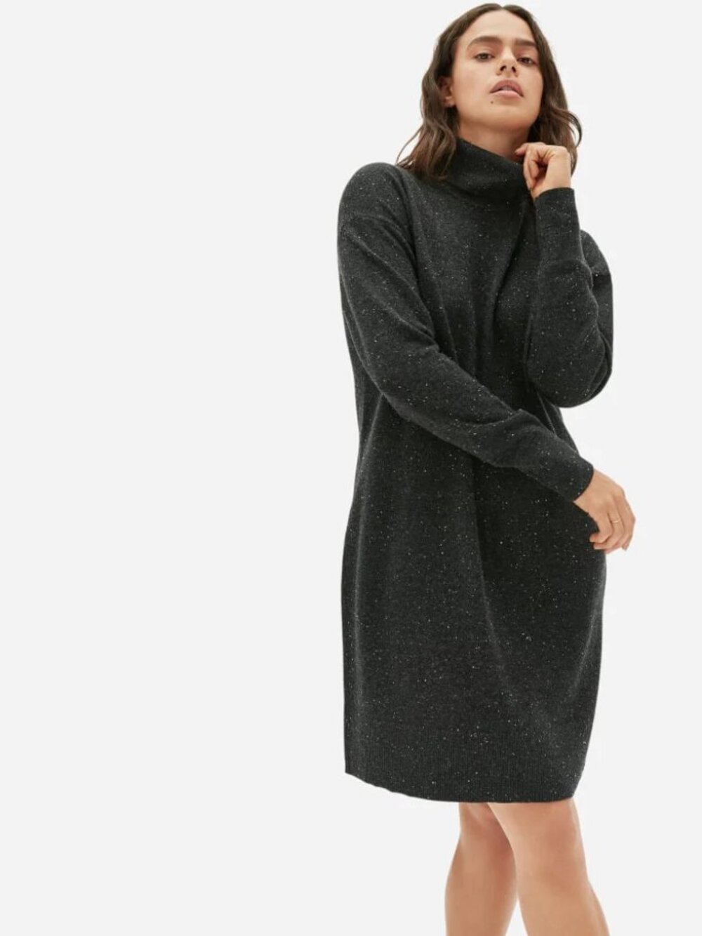 Everlane Cashmere Turtleneck Dress
